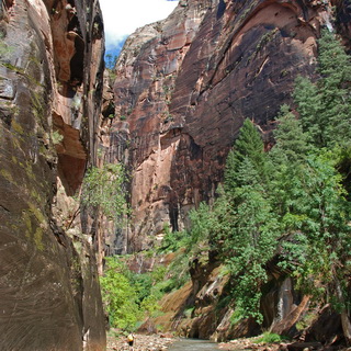Zion - Narrows